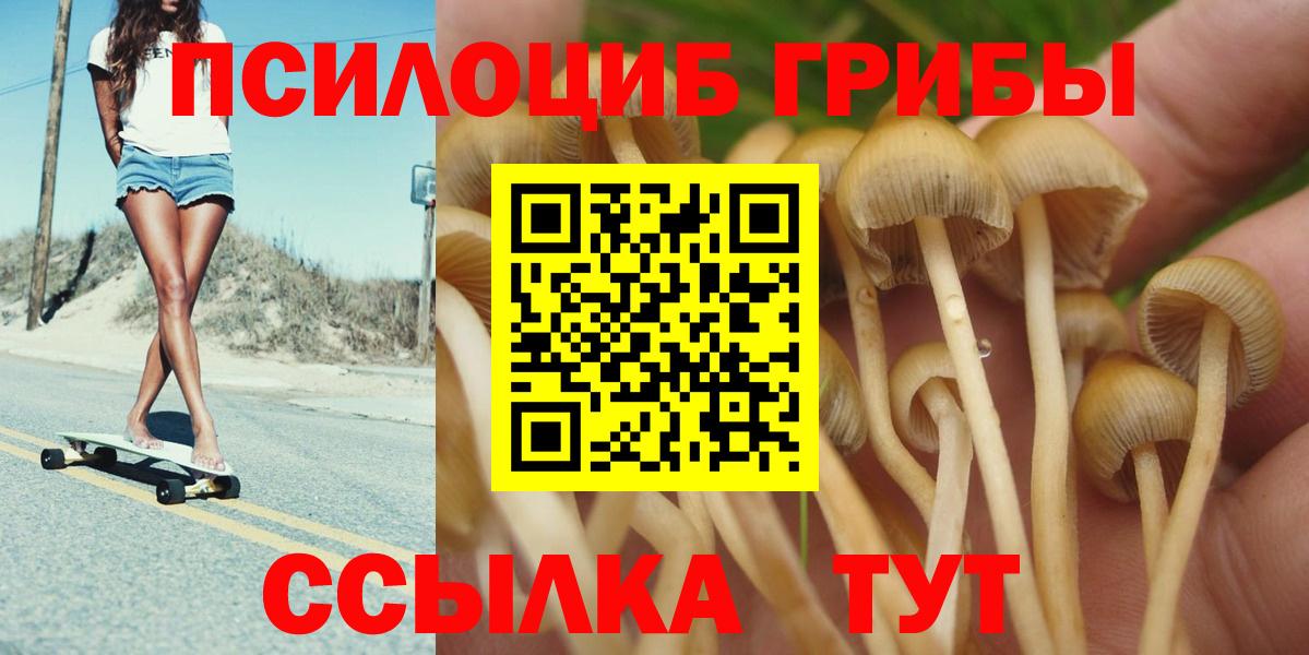 Псилоцибиновые грибы ЛСД  Вход с VPN  Псилоцибиновые грибы прущие грибы  Екатеринбург 