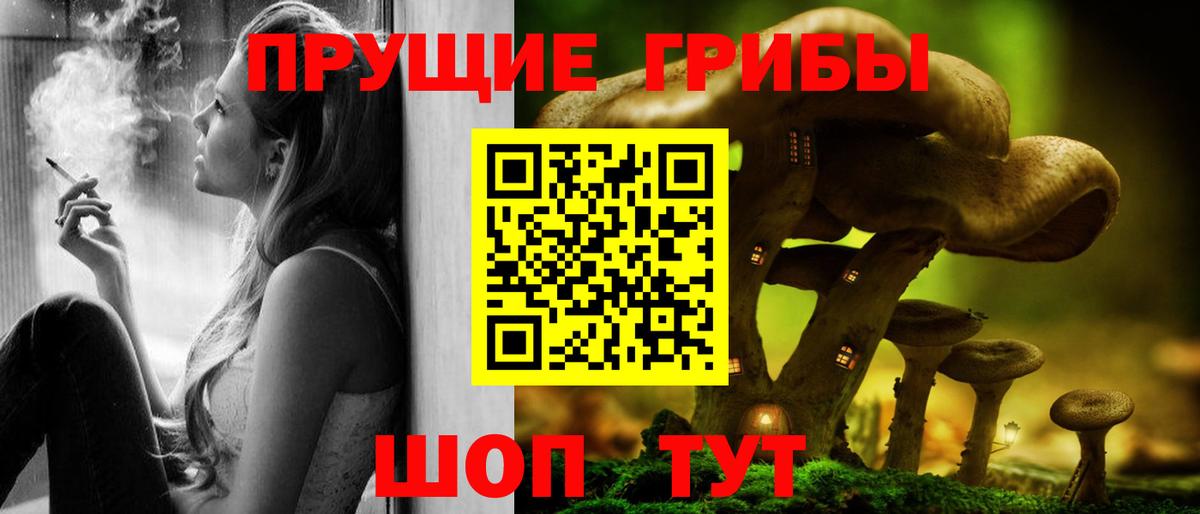 Псилоцибиновые грибы Psilocybine cubensis Екатеринбург
